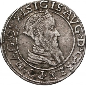 Zygmunt II August, czworak 1567, Wilno