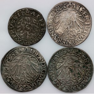 Prusy Książęce, Albrecht Hohenzollern, zestaw monet z lat 1530-1545, (4 sztuki)
