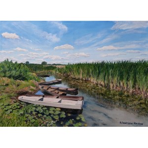 OVER THE BIEBRZA RIVER BARBARA DRZEMICKA-KARDASZ