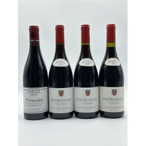 Burgundy selection, 2019-2020, Burgundy selection, 2019-2020