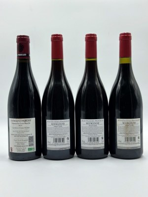 Burgundy selection, 2019-2020, Burgundy selection, 2019-2020