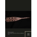 Spear of the Asmat people, Papua New Guinea, Indonesia
