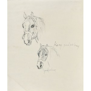 Ludwik MACIĄG (1920-2007), Sketch of horse heads