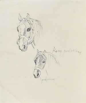 Ludwik MACIĄG (1920-2007), Esquisse de têtes de chevaux