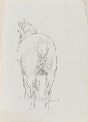 Ludwik MACIĄG (1920-2007), A horse shown from behind