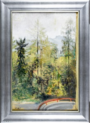Irena WEISS - ANERI (1888-1981), Stromy - serpentínový pohľad na cestu do Szczwnice, 1961