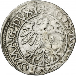 Sigismund II August, 1/2 Groschen Vilnius 1560 - L/LITV
