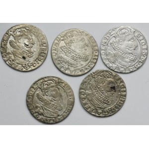 Lot, Sigismund III Vasa, 6 Groschen 1625-1627 (5 pcs.)