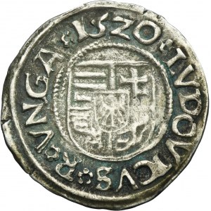 Hungary, Louis II of Hungary, Denarius Kremnitz 1520 KA