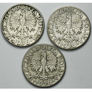 Zestaw, Żaglowiec, 2 złote 1936 (3 szt.)