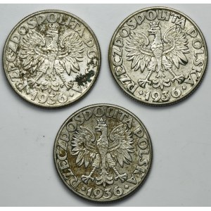 Zestaw, Żaglowiec, 2 złote 1936 (3 szt.)