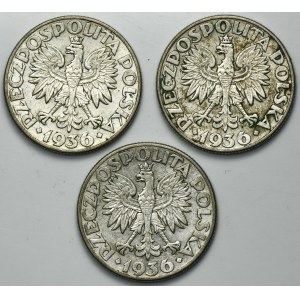 Zestaw, Żaglowiec, 2 złote 1936 (3 szt.)