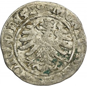 Sigismund I the Old, Groschen Krakau 1529