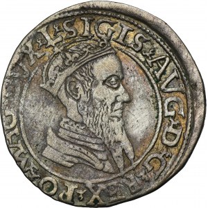 Sigismund II August, 4 Groschen Villnius 1567