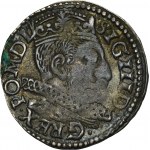 Sigismond III Vasa, Trojak Poznań 1598 - P gauche