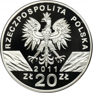 20 złotych 2011 Borsuk