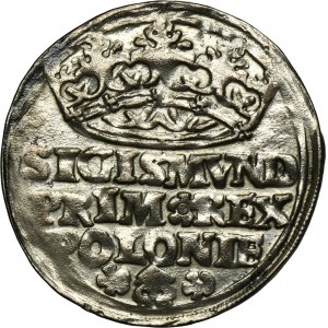 Sigismund I the Old, Groschen Krakau 1529