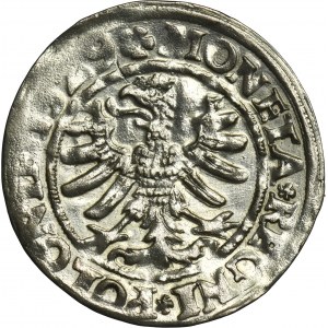 Sigismund I the Old, Groschen Krakau 1529