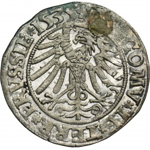 Sigismund I the Old, Groschen Thorn 1535 - PRVSSIE/PRVSSIE