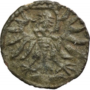 Sigismond II Auguste, Denier de Gdansk 1555 - RARE