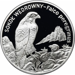 20 złotych 2008 Sokół