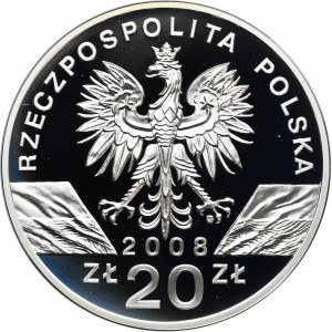 20 złotych 2008 Sokół