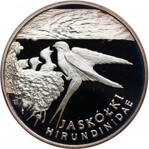 300.000 złotych 1993 Jaskółki