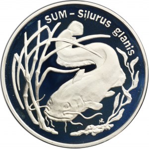 20 złotych 1995 Sum