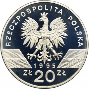 20 złotych 1995 Sum