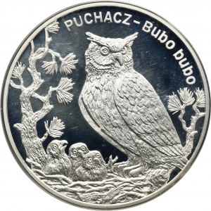 20 złotych 2005 Puchacz