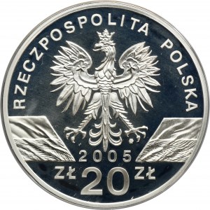 20 złotych 2005 Puchacz