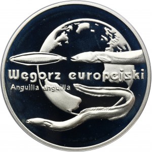 20 złotych 2003 Węgorz europejski