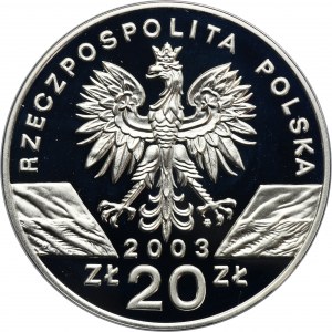 20 złotych 2003 Węgorz europejski