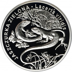 20 złotych 2009 Jaszczurka Zielona
