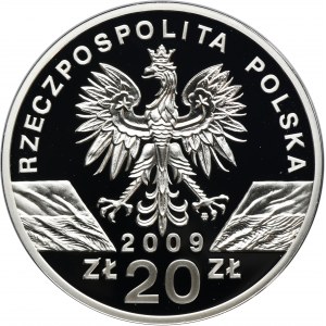 20 złotych 2009 Jaszczurka Zielona