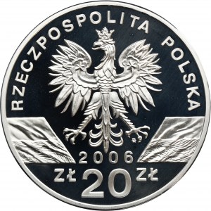 20 or 2006 Swistak