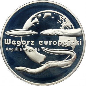 20 złotych 2003 Węgorz europejski