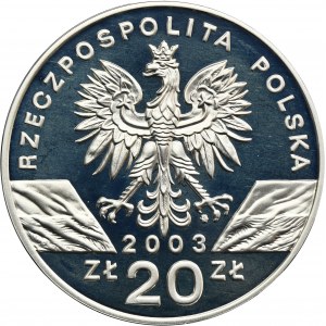 20 złotych 2003 Węgorz europejski