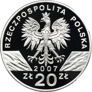 20 złotych 2007 Foka Szara