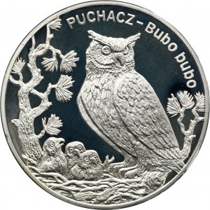 20 złotych 2005 Puchacz