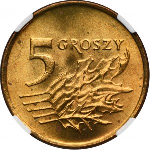 5 groszy 1990 - NGC MS65