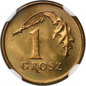 1 grosz 1990 - NGC MS66