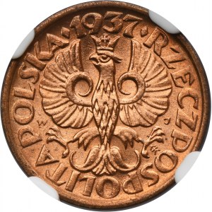 1 grosz 1937 - NGC MS65 RD