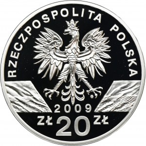 20 złotych 2009 Jaszczurka Zielona