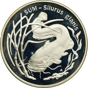 20 złotych 1995 Sum