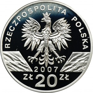 20 złotych 2007 Foka Szara
