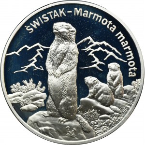 20 złotych 2006 Świstak