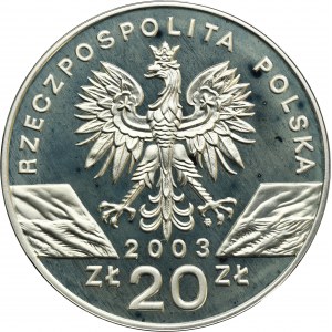 20 złotych 2003 Węgorz europejski