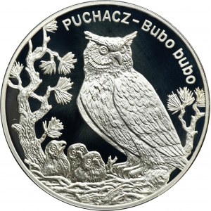 20 złotych 2005 Puchacz