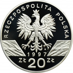 20 złotych 1997 Jelonek Rogacz